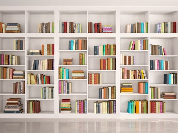 Bookshelf Assembly in Port Saint Lucie